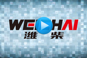 視頻庫(kù)
